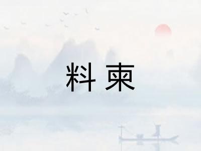 料柬