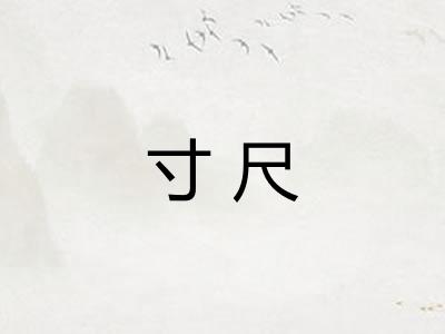 寸尺 寸尺