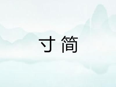 寸简