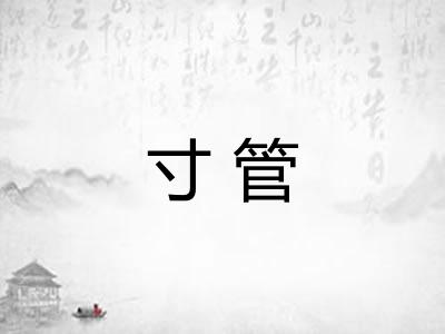 寸管 寸管