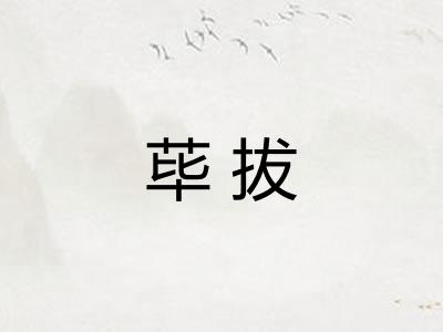 荜拔 荜拔