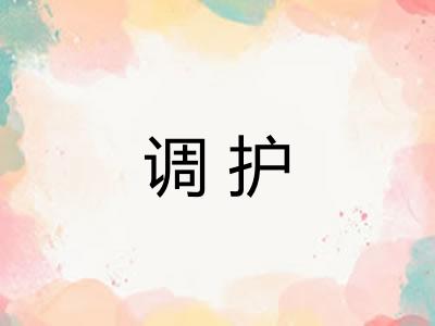 调护