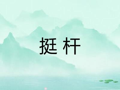 挺杆 挺杆