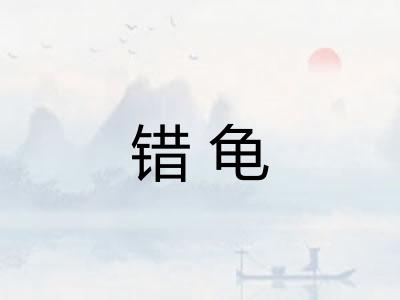 错龟 错龟