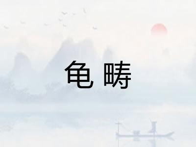 龟畴 龟畴