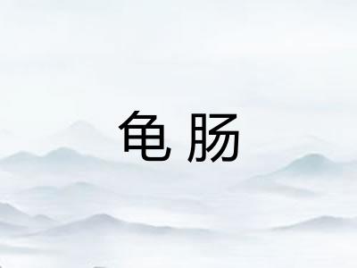 龟肠 龟肠