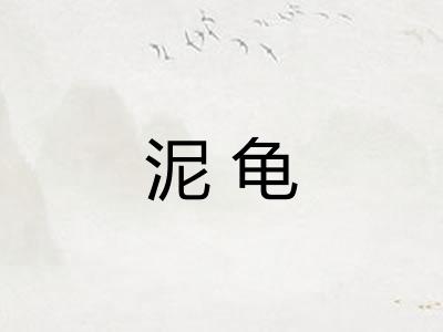 泥龟 泥龟