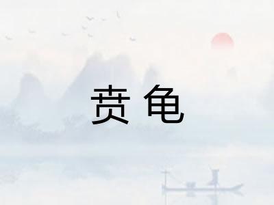 贲龟
