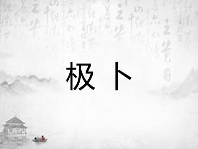 极卜 极卜