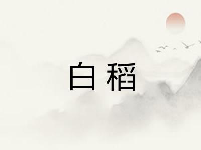 白稻 白稻