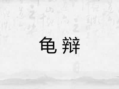 龟辩 龟辩