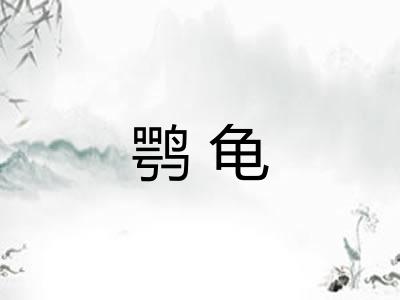 鹗龟 鹗龟
