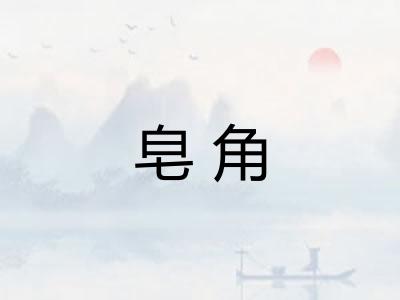 皂角 皂角