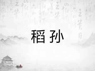 稻孙
