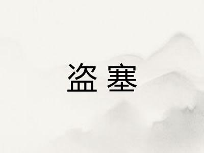 盗塞 盗塞