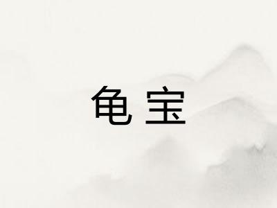 龟宝 龟宝