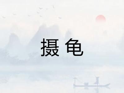 摄龟 摄龟