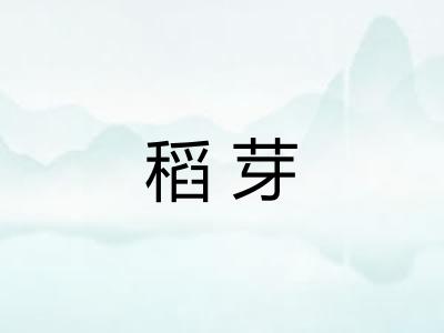 稻芽 稻芽