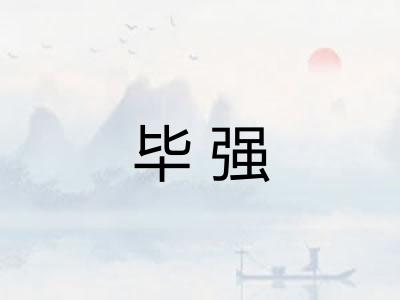 毕强 毕强
