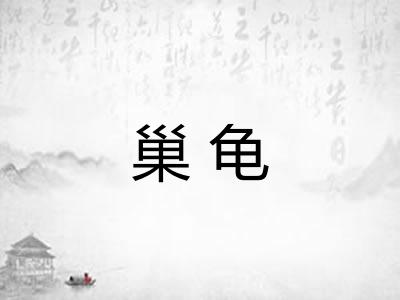 巢龟