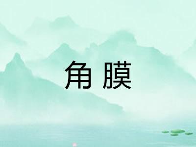 角膜 角膜