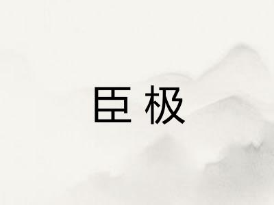 臣极 臣极