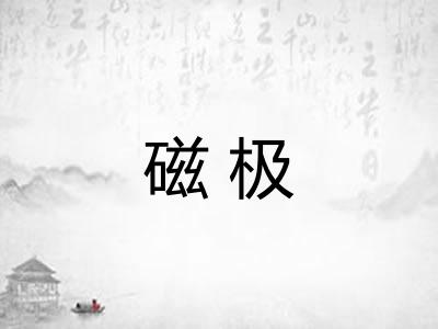 磁极 磁极