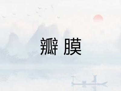 瓣膜 瓣膜
