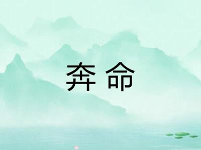 奔命 奔命