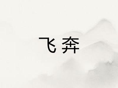 飞奔 飞奔