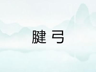 腱弓 腱弓