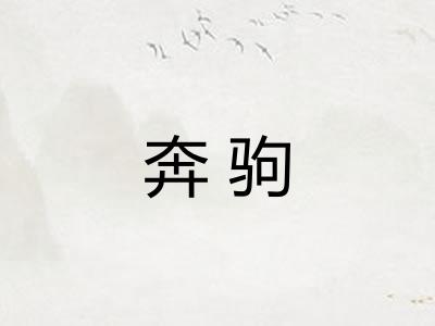 奔驹 奔驹