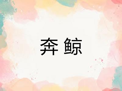 奔鲸 奔鲸