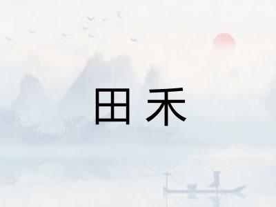 田禾