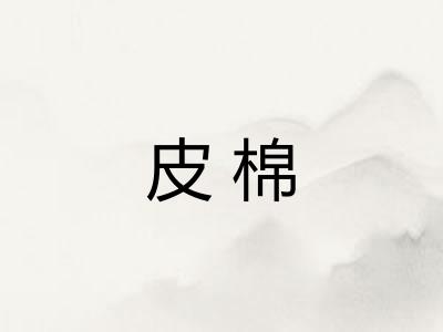 皮棉 皮棉