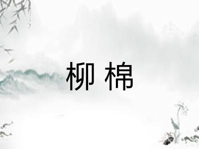 柳棉 柳棉