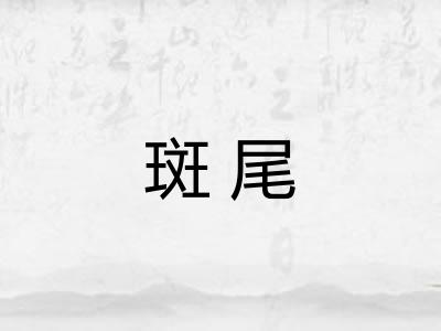 斑尾 斑尾