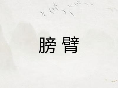 膀臂 膀臂