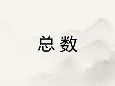 总数 总数