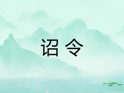 诏令 诏令