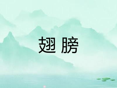 翅膀 翅膀
