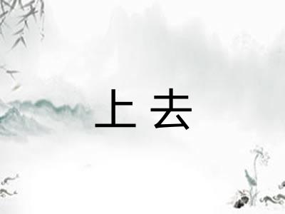 上去