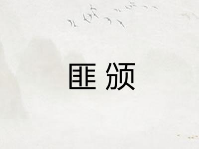 匪颁 匪颁