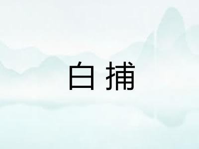 白捕 白捕