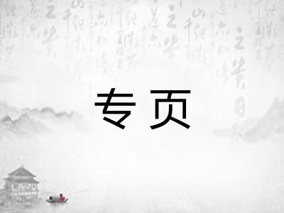 专页