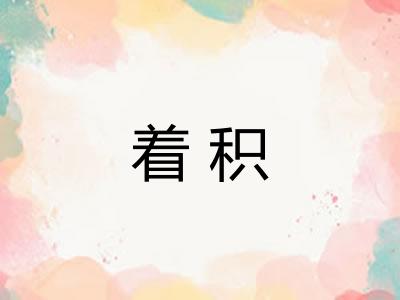 着积 着积