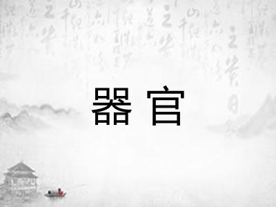 器官 器官