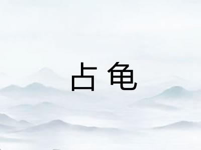 占龟 占龟