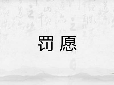 罚愿