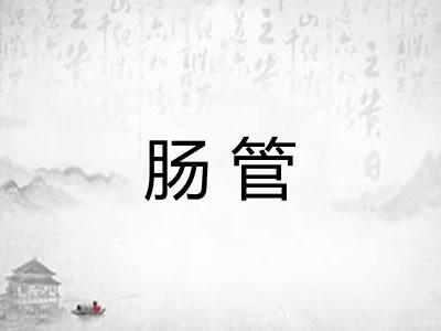 肠管 肠管